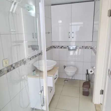 Altay Villa Villa *