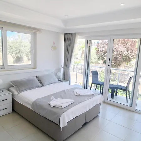 Altay Villa Villa *